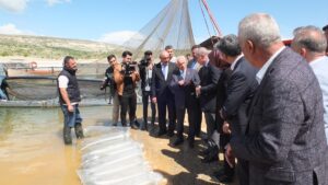 ELAZIĞ (AA) – Elazığ'da Keban Baraj Gölü'ne 10 bin sazan