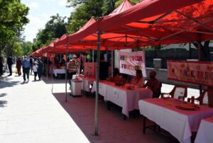 KIRIKKALE (AA) – Kırıkkale'de öğretmenlerin, öğrencilerin dersleri daha iyi anlayabilmeleri