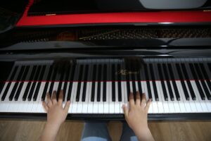 MUŞ (AA) – İBRAHİM YALDIZ – Muş'ta, duyduğu sesleri notaya