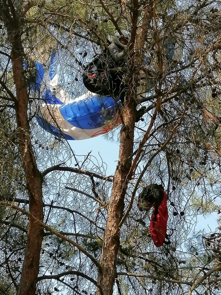 Manisa'da ağaçta asılı kalan amatör paraşütçü kurtarıldı