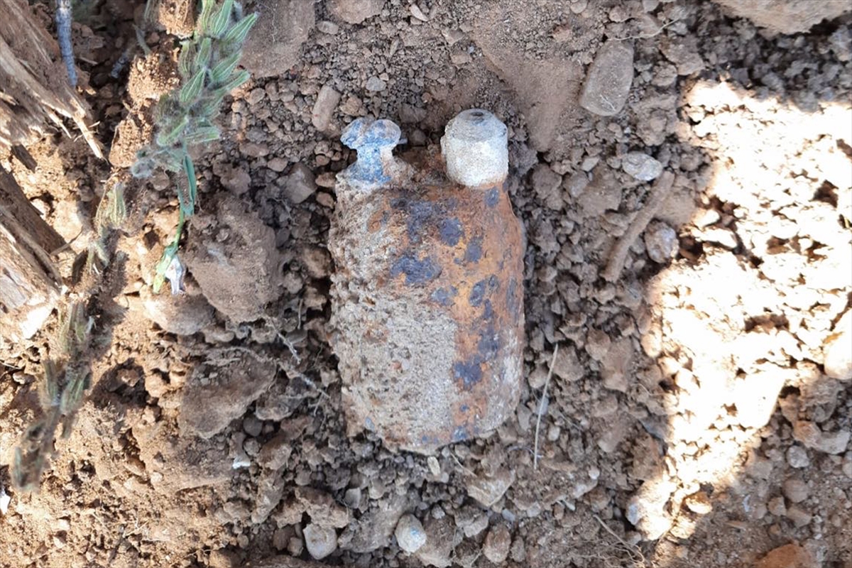 Manisa'da ormanlık arazide patlamamış el bombası bulundu