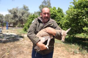 MERSİN (AA) – Mersin'in Mezitli ilçesinde vatandaşların bitkin halde bulduğu