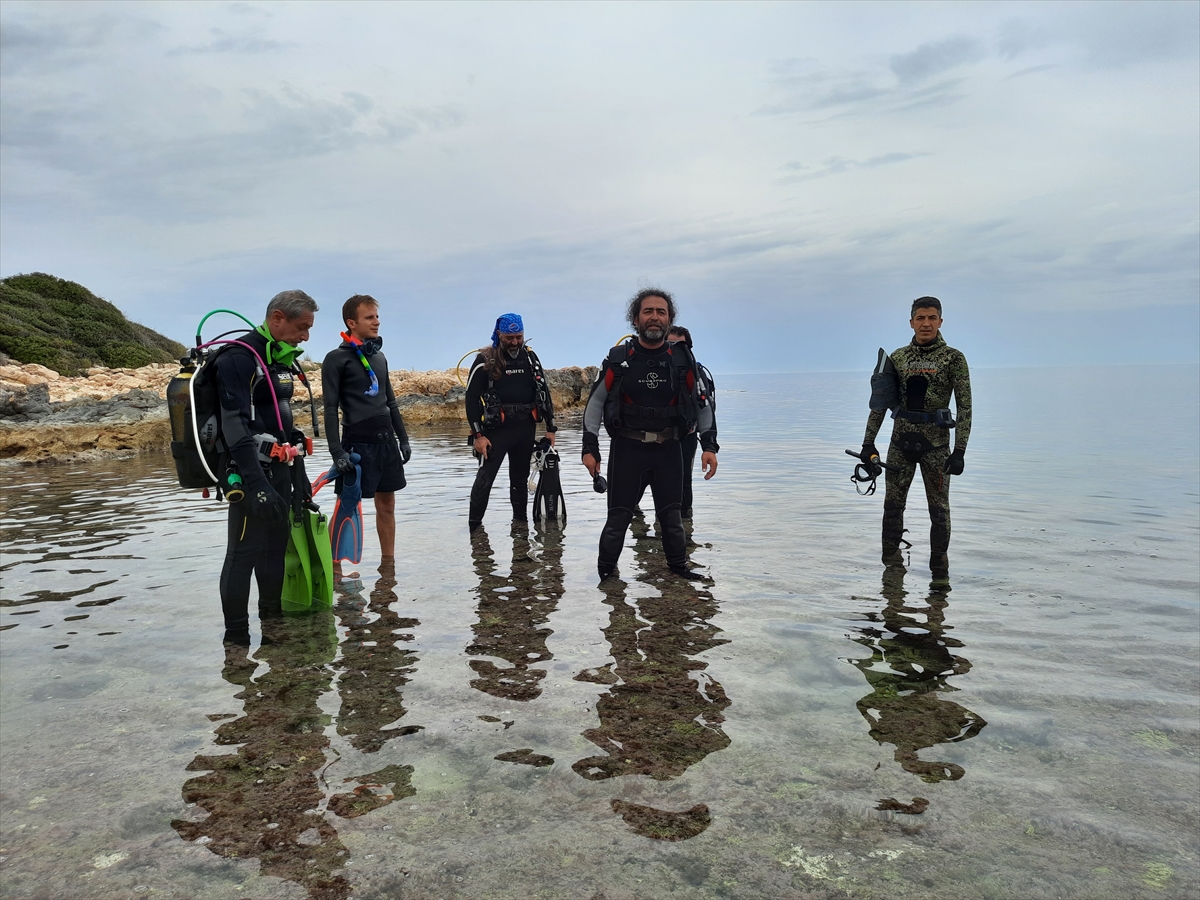 Mersin'de zehirli deniz kestaneleri dalış etkinliğiyle tespit edildi