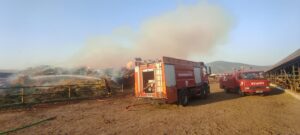 MUĞLA (AA) – Muğla'nın Milas ilçesinde, besi çiftliğinde çıkan yangın