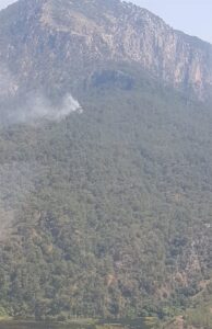 MUĞLA (AA) – Muğla'nın Dalaman ilçesinde orman yangını çıktı. Dalaman