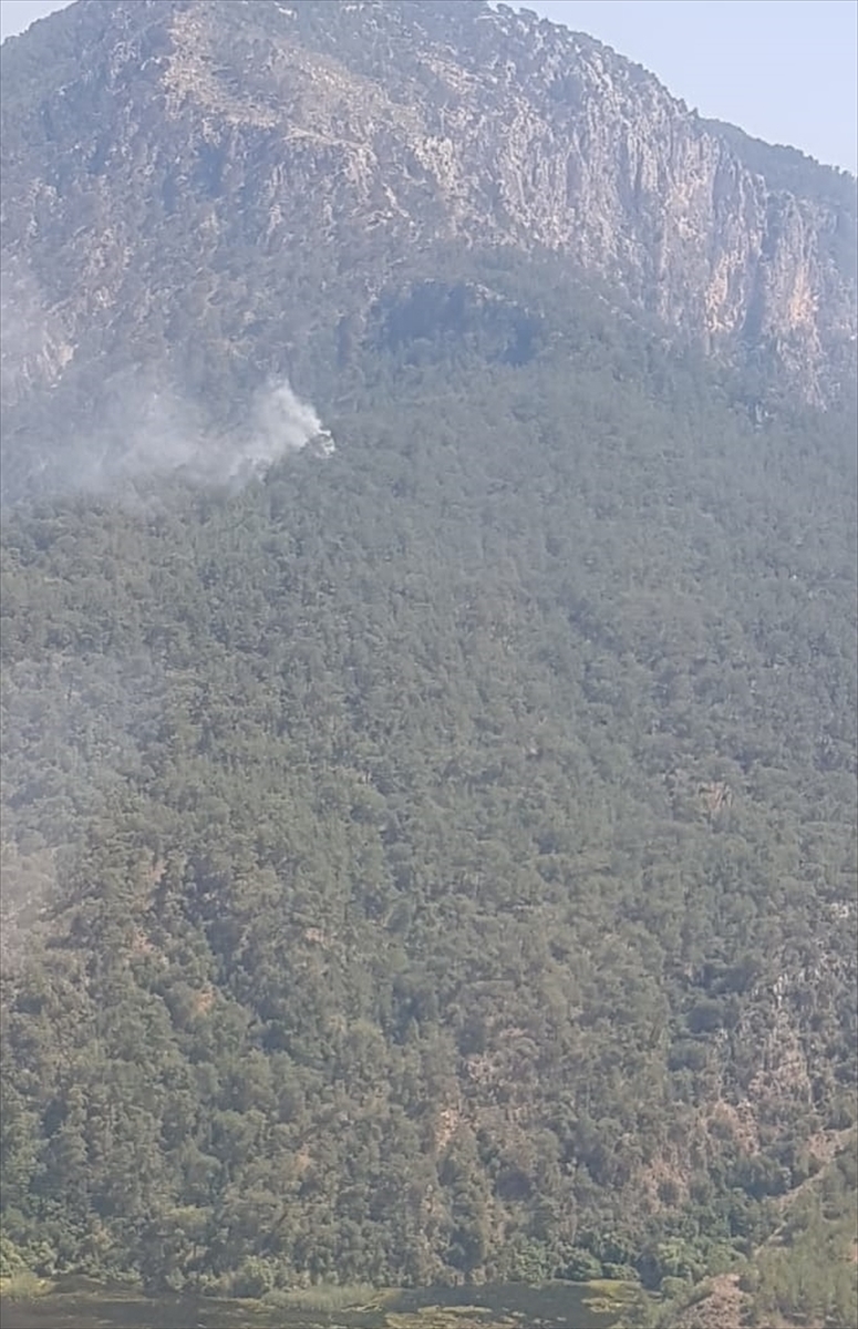 Muğla'da orman yangını çıktı