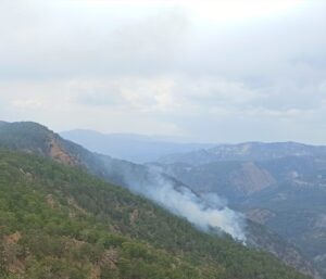MUĞLA (AA) – Muğla'nın Köyceğiz ilçesinde orman yangını çıktı. Ağla