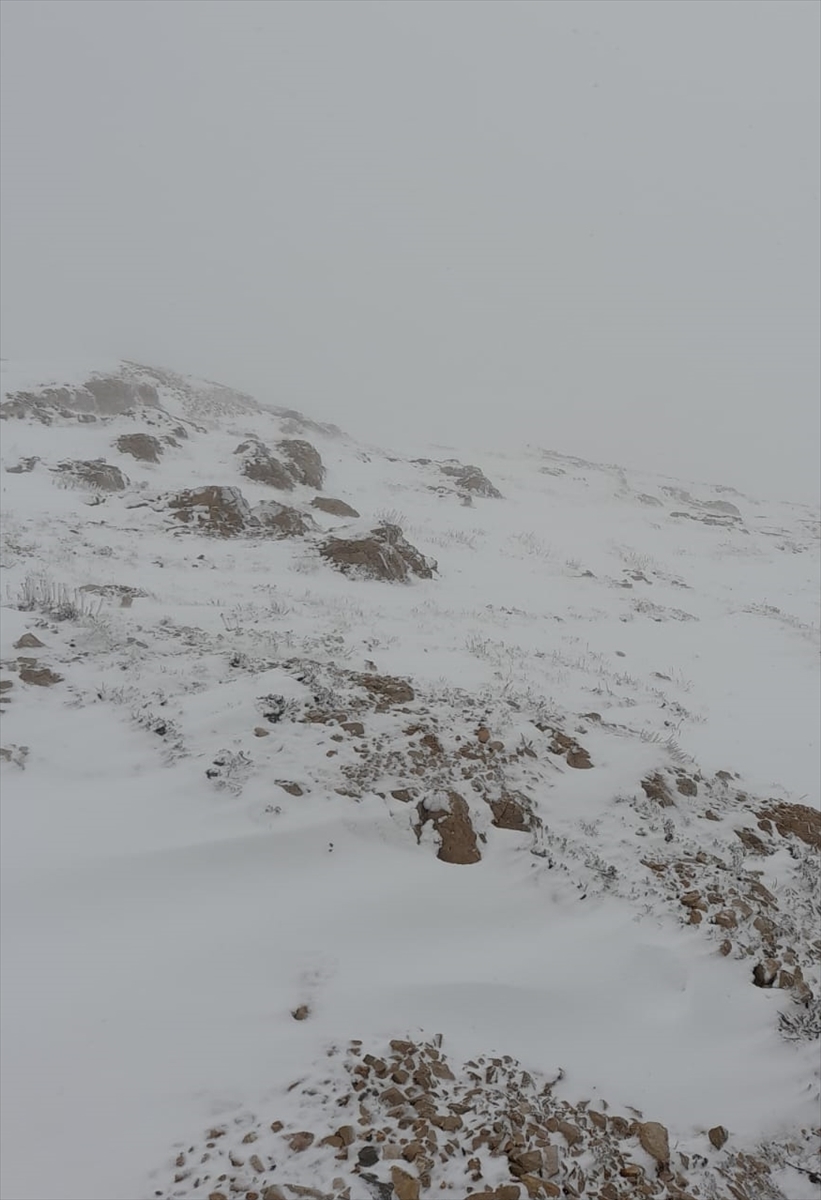 Nemrut Dağı'nda kar yağışı etkili oldu