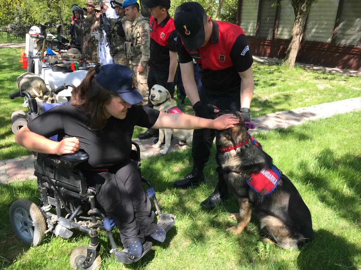 Özel çocuklar jandarma eğitim köpekleriyle oynayıp geyikleri besledi