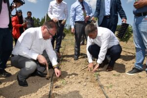 KARABÜK (AA) – Karabük'ün Safranbolu ilçesinde, kendine has koku ve