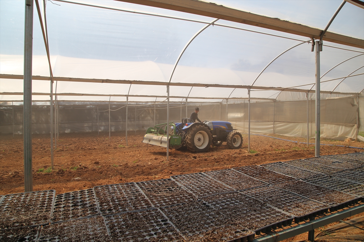 Şanlıurfa'da öğrenciler modern tarımı uygulamalı öğreniyor