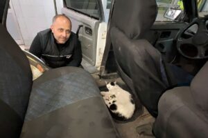 ELAZIĞ (AA) – İSMAİL ŞEN – Elazığ'da, Ramazan Bayramı dönüşü