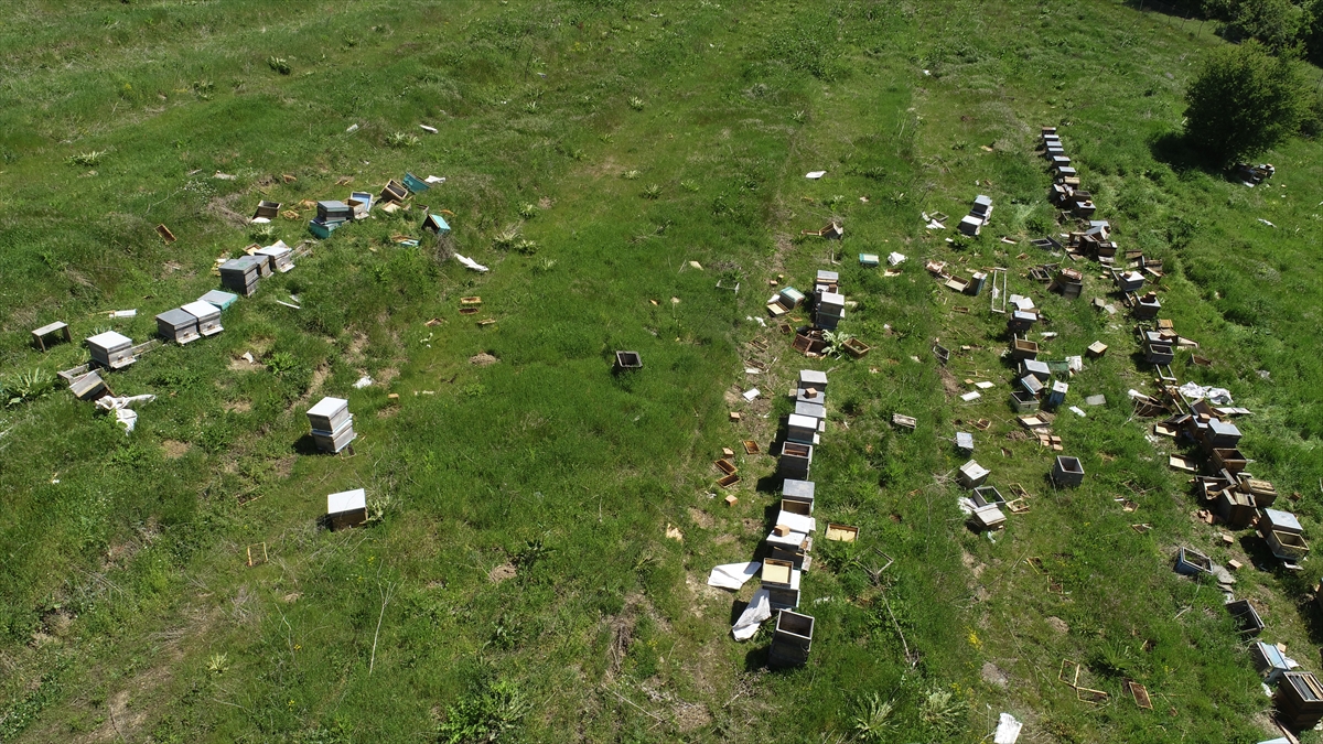 GÜNCELLEME – Tekirdağ'da araştırma için beslenen arı kovanlarını tahrip edenlerin yakalanması için çalışma başlatıldı