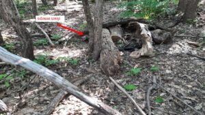 TUNCELİ (AA) – Tunceli'nin Hozat ilçesindeki Ali Boğazı bölgesinde gerçekleştirilen