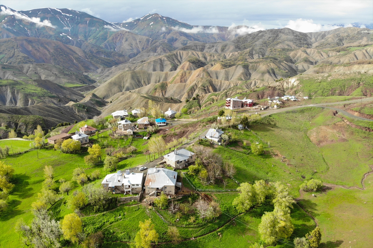 Tunceli'nin 3 bin rakımlı dağ köyleri yeşile büründü