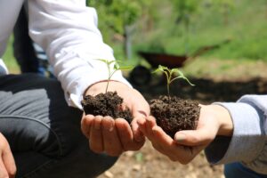 KASTAMONU (AA) – Kastamonu Üniversitesi Araç Rafet Vergili Meslek Yüksekokulu