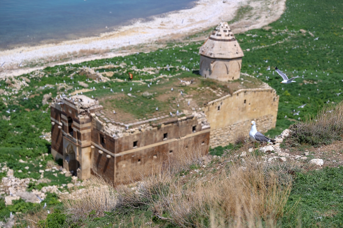 Van Gölü'nün dört adası etkinliklerle tanıtılıyor