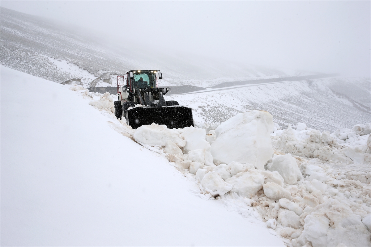 Van ve Bitlis'te kar etkili oldu