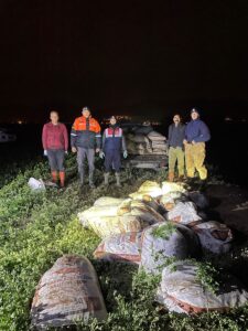 VAN (AA) – Van'ın Erciş, Muradiye, İpekyolu, Gevaş, Tuşba ve