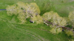 VAN (AA) – Van'ın Özalp ilçesinde açılan piyano kursuna katılanlar,