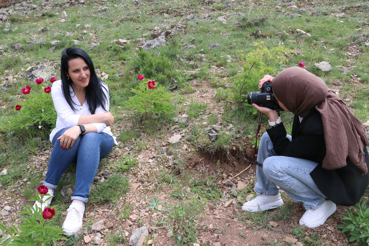 Yozgat'ta “Cehrilik laleleri” çiçek açtı