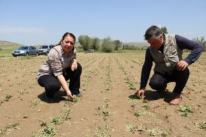 AFYONKARAHİSAR (AA) – Afyonkarahisar'ın Sandıklı ve Kızılören ilçelerinde etkili olan