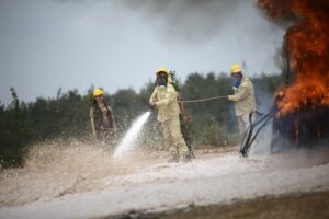 ANTALYA/ADANA (AA) – HATİCE ÖZDEMİR TOSUN/EREN BOZKURT – Geçen yıl