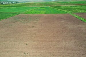 AĞRI (AA) – ABDULLAH SÖYLEMEZ – Ağrı'nın Tutak ilçesinde görev