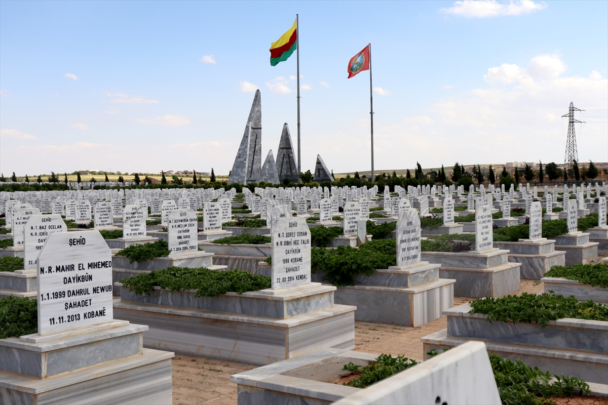 Aynularab'daki mezar taşları, YPG/PKK'nın çocukları kullandığını belgeliyor