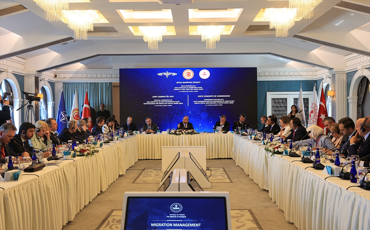 Bakan Soylu, NATO Parlamenter Asamblesi Politik Komite ve Ortadoğu Komitesi heyetiyle bir araya geldi: