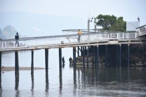 BARTIN (AA) – Bartın'da denizde erkek cesedi bulundu. Sabah saatlerinde