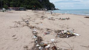 - Bartın Irmağı'ndan akan çamurlu su da denizin kıyı kesimlerini