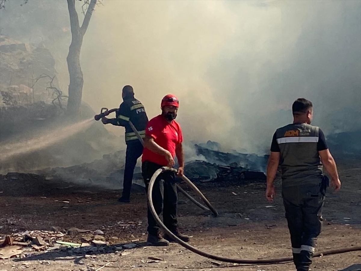 Bodrum'da otluk alanda çıkan ve iş yerine sıçrayan yangın söndürüldü