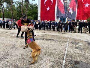- Törende bomba arama, asayiş ve arama-kurtarma köpekleri ile atlı