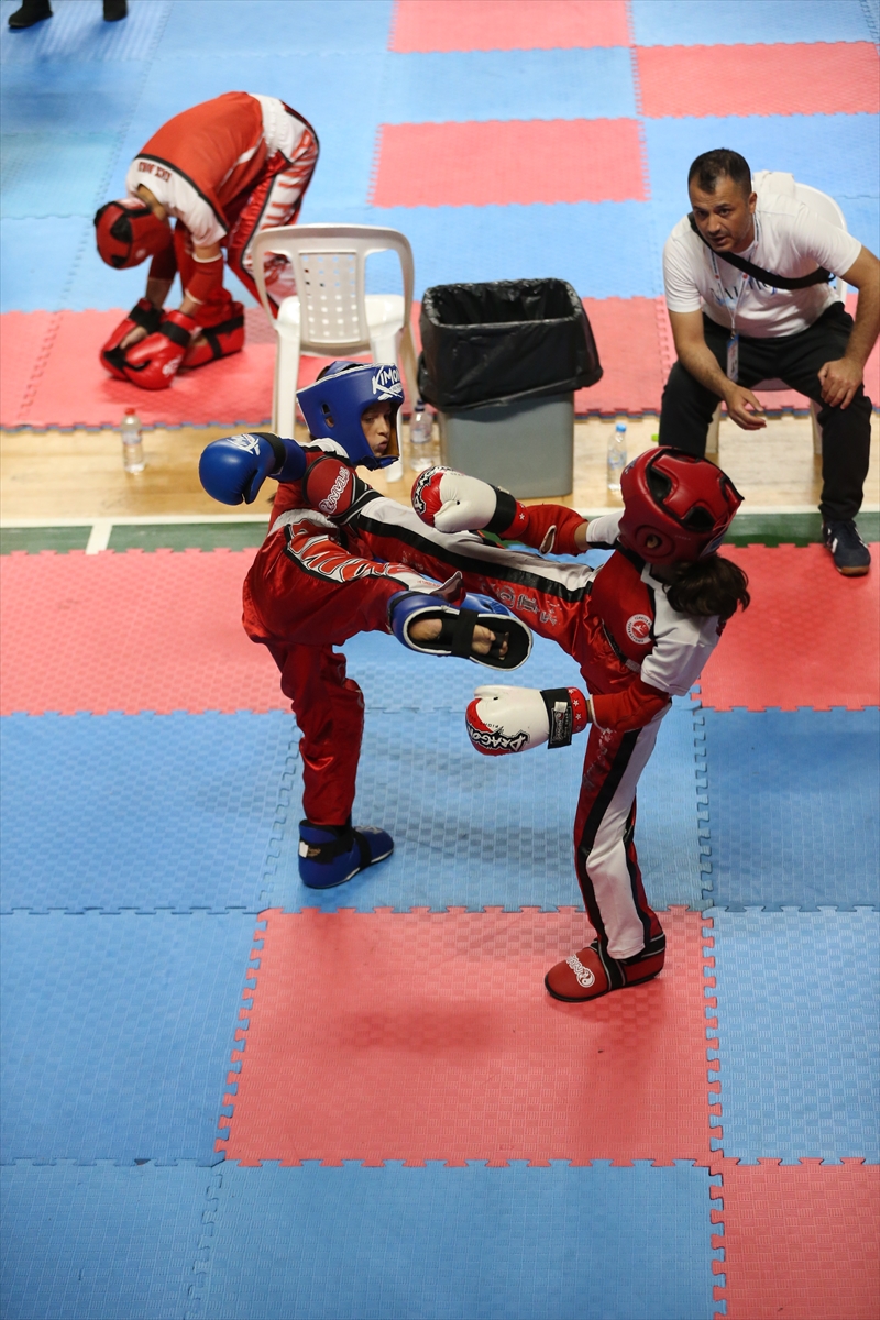 Büyükler, Gençler, Yıldızlar, Minikler Türkiye Kick Boks Şampiyonası, Kocaeli'de yapıldı