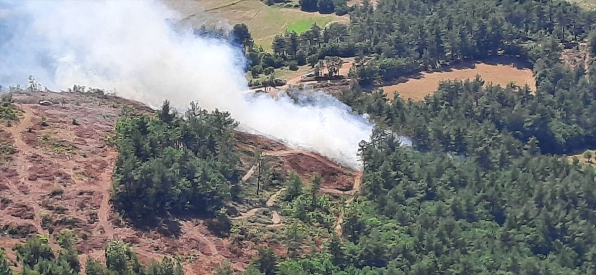 Çanakkale Yenice'de ormanlık alanda yangın çıktı