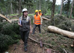 GİRESUN (AA) – GÜLTEKİN YETGİN – Giresun'da orman muhafaza memuru