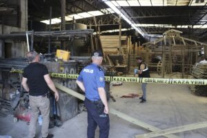 DENİZLİ (AA) – Denizli'nin Merkezefendi ilçesinde dut toplamak için çıktığı