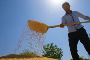 DİYARBAKIR / MARDİN (AA) – Türkiye'nin önemli tarım merkezlerinden Diyarbakır