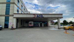 DÜZCE (AA) – Düzce'de bahçesinde çalıştığı sırada arıların saldırısına uğrayan