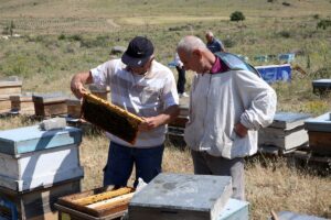 KAYSERİ (AA) – MÜZAHİM ZAHİD TÜZÜN – Kayseri'nin Develi ilçesinde,