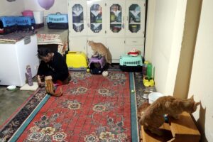 ELAZIĞ (AA) – SUAT ÖZTÜRK – Elazığ'da yaşayan hayvansever Şengül