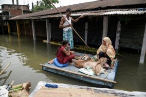 YENİ DELHİ (AA) – Hindistan'ın kuzeydoğusundaki Assam eyaletindeki şiddetli seller