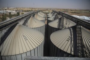 ERBİL (AA) – Irak Kürt Bölgesel Yönetimi (IKBY), Rusya-Ukrayna savaşının