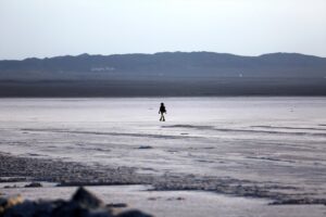 - Suyun çekildiği kısımlar güneşlenen kertenkelelere ve bir tutam yeşillik