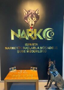 ISPARTA (AA) – Isparta'da düzenlenen uyuşturucu operasyonunda gözaltına alınan 2