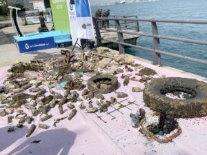 İSTANBUL (AA) – Üsküdar Belediyesince Dünya Çevre Günü kapsamında düzenlenen