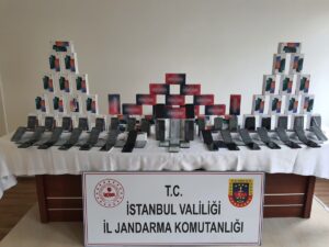 İSTANBUL (AA) – İstanbul'da, yaşa dışı yollardan yurda getirilen 535