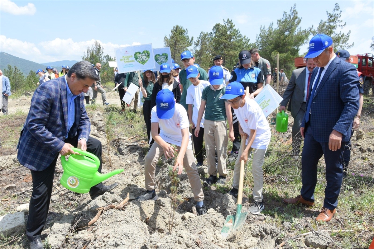 Karabük'te yanan ormanlık alan ağaçlandırıldı