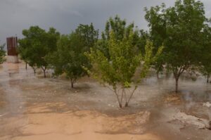 KARAMAN (AA) – Karaman'da sağanak nedeniyle bazı köy yolları trafiğe